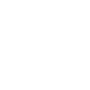 safelane icon
